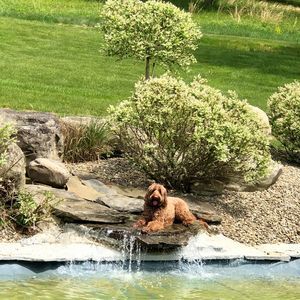 Meet your Posher, Sharon